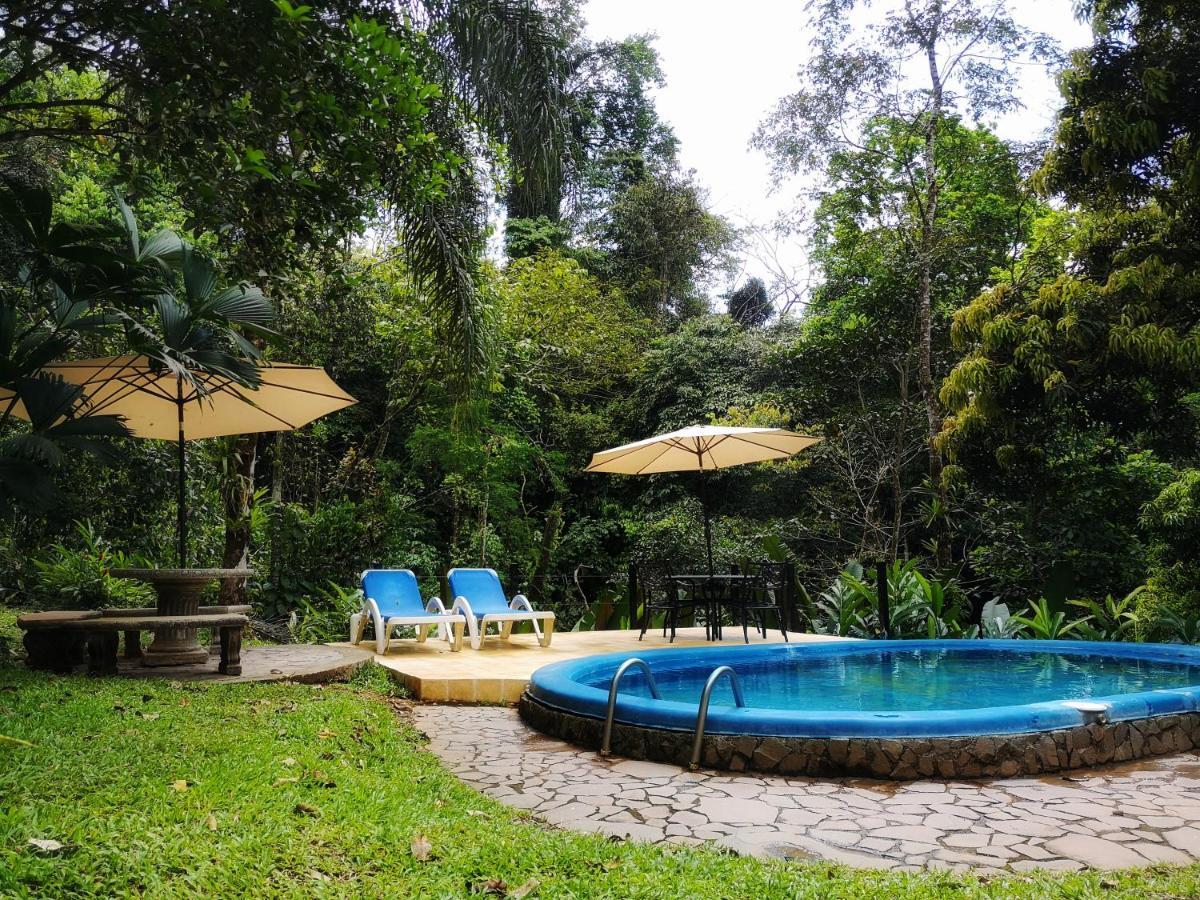 Casa Cedro - Portasol Vacation Rentals Matapalo  Exteriör bild